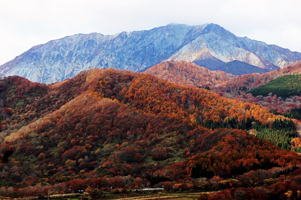 大山･蒜山の紅葉 ①