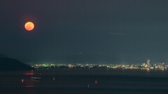 フラワームーン！