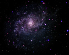 お隣さん銀河　さんかく座Ｍ３３渦巻き銀河！