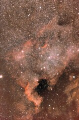 NGC7000（北アメリカ星雲）