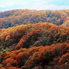 大山･蒜山の紅葉 ③