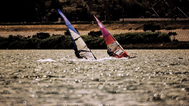 スポーツ写真集