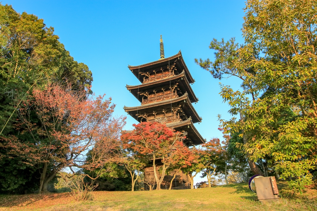 色づきはじめた紅葉と五重塔①