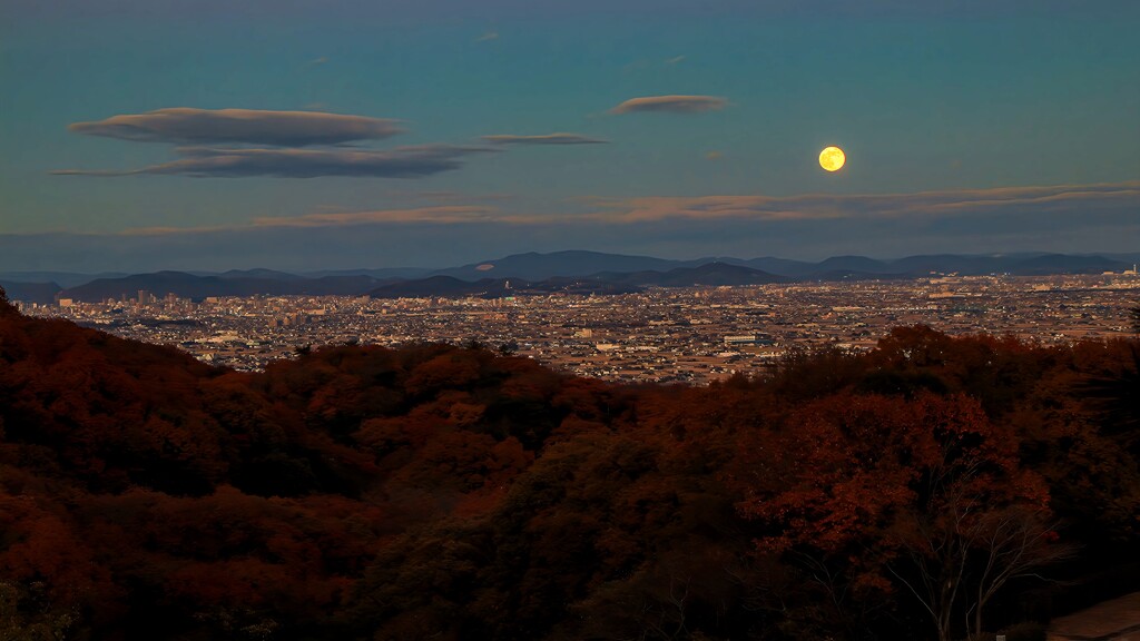 コールドムーンです！②