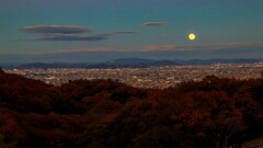 コールドムーンです！②