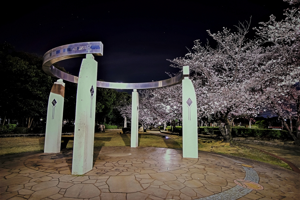 倉敷市水島緑地公園の夜桜