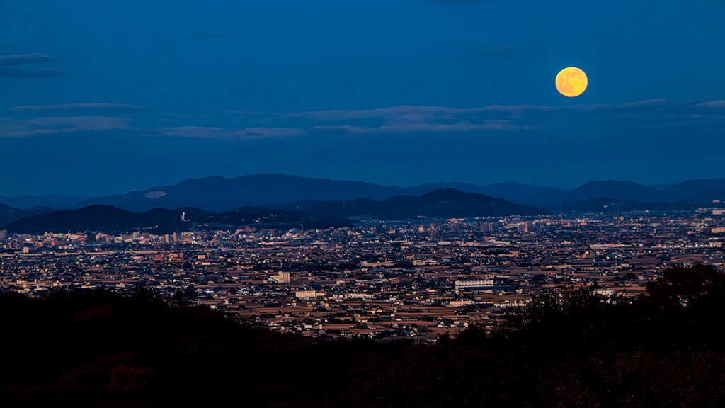 コールドムーンです！①