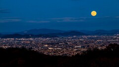 コールドムーンです！①