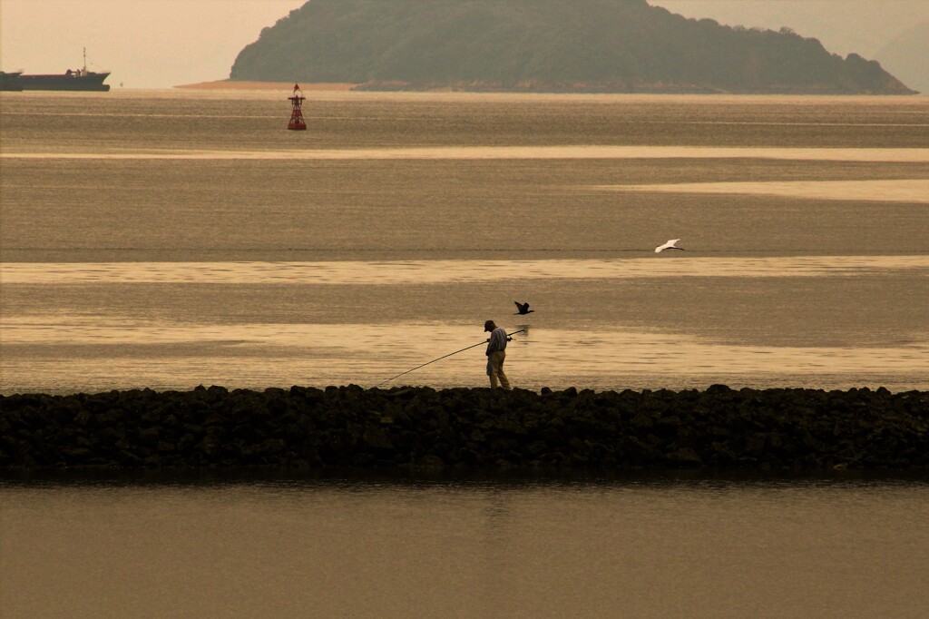 釣り人さん