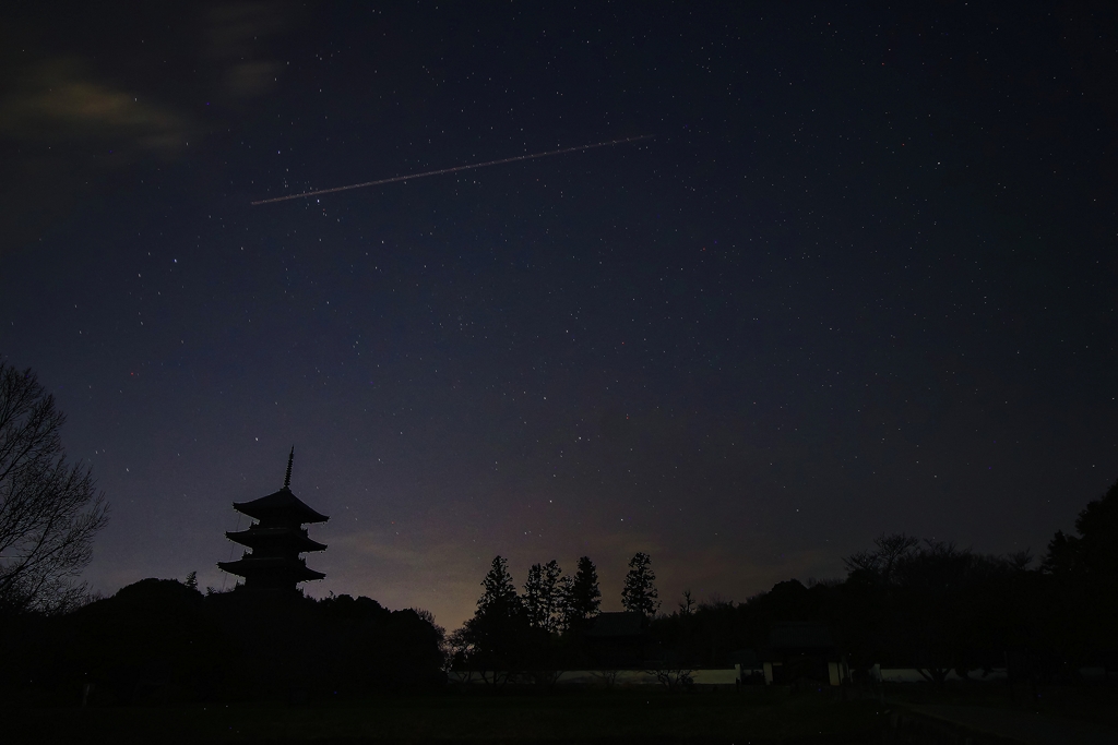 夜の国分寺