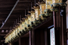 由加山 蓮台寺①