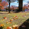 冬晴れの公園