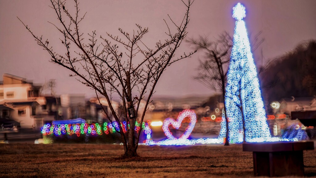 公園のイルミネーションです！