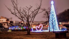公園のイルミネーションです！