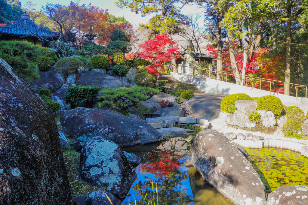庭園の紅葉