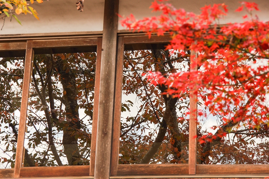 由加山 蓮台寺③