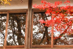由加山 蓮台寺③
