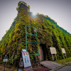 蔦の絡まる建物