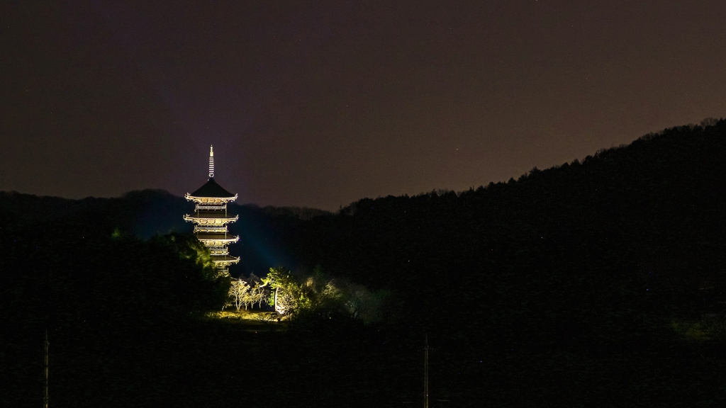 国分寺五重塔の遠景 (ライトアップ)