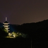 国分寺五重塔の遠景 (ライトアップ)