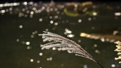 2024年はお世話になりました。
