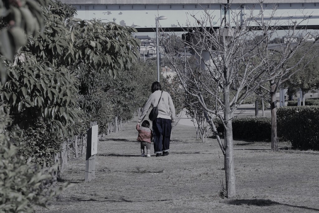 公園の親子