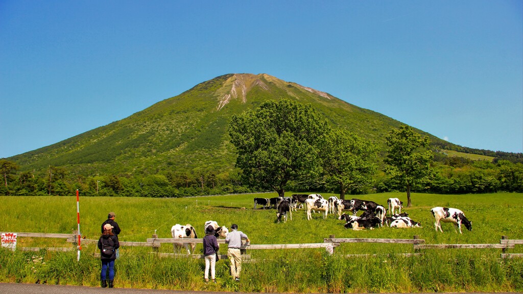 高原の牧場