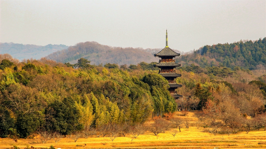 国分寺五重塔の遠景