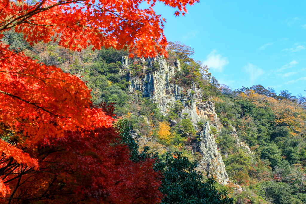 宇甘渓の紅葉！