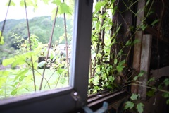 大阪唯一の村