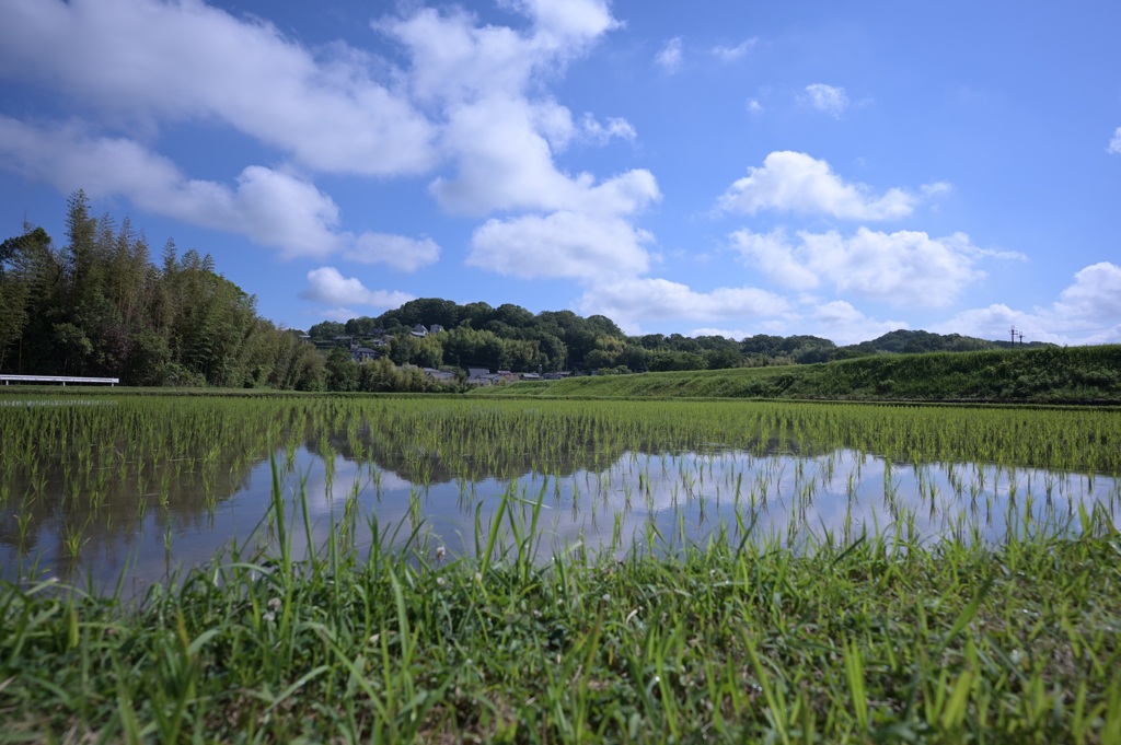 三木の田園