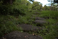 緑とグレーは合うと教えてくれる草と石