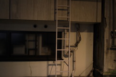 きっとかつては水の中。