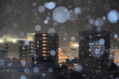 雪降る夜