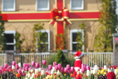 Happy Holiday