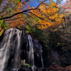 秋晴の滝