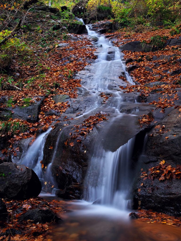 落葉と滝
