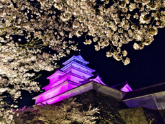 夜桜鶴ヶ城