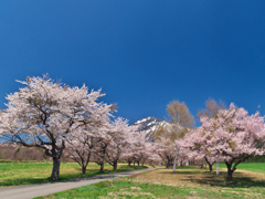 磐梯山牧場