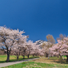 磐梯山牧場
