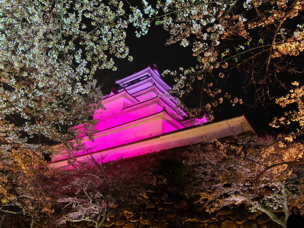 鶴ヶ城2