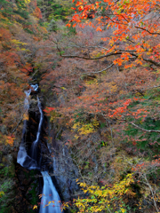 紅葉の大滝