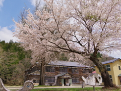 廃校と桜２