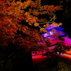 紅葉と鶴ヶ城