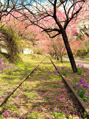 線路花模様