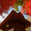 紅葉と山門