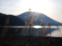 中禅寺湖