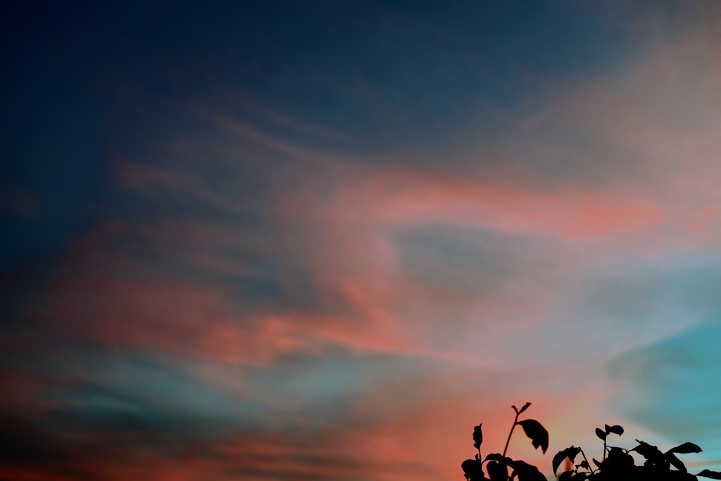 夏の夕焼け