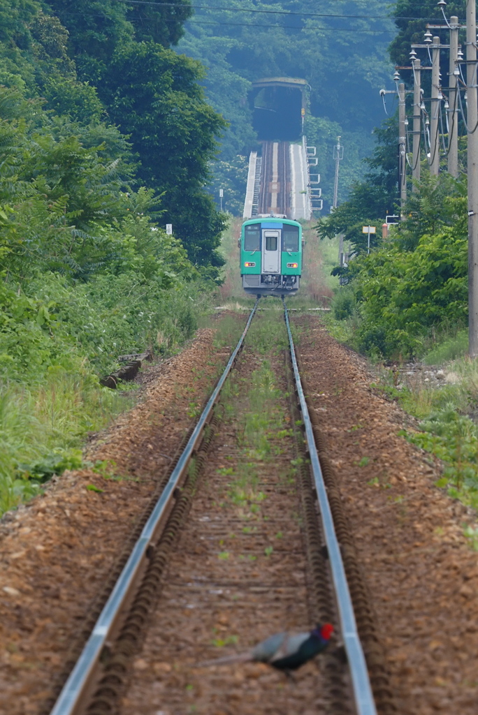 橋を渡りトンネルへ