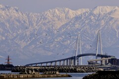 新湊からの風景